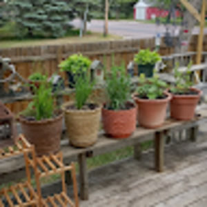 Meet your Posher, Bill